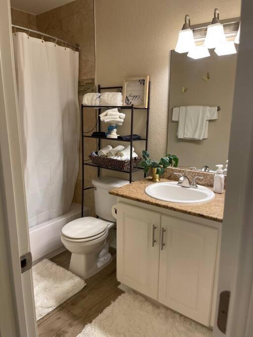 Beautiful/Spacious 2 Bedroom Houston Near Galleria Dış mekan fotoğraf