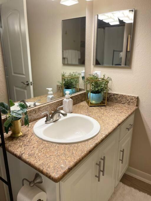 Beautiful/Spacious 2 Bedroom Houston Near Galleria Dış mekan fotoğraf